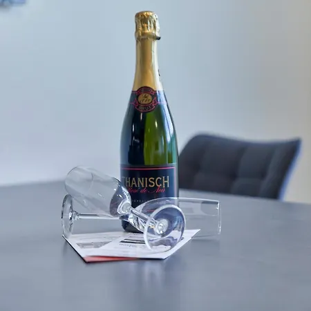 Mosel Panorama 아파트 *